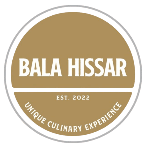 Bala Hissar Logo